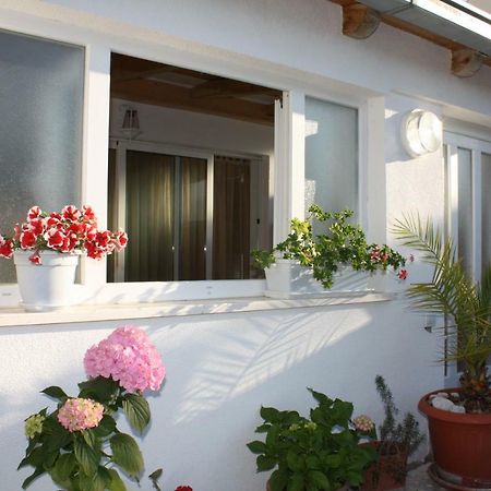 Apartment Anand Dubrovnik Eksteriør bilde