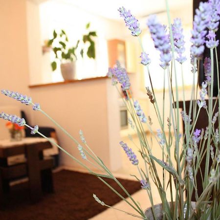 Apartment Anand Dubrovnik Eksteriør bilde